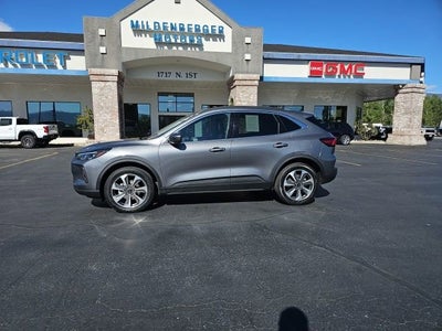 2024 Ford Escape Platinum